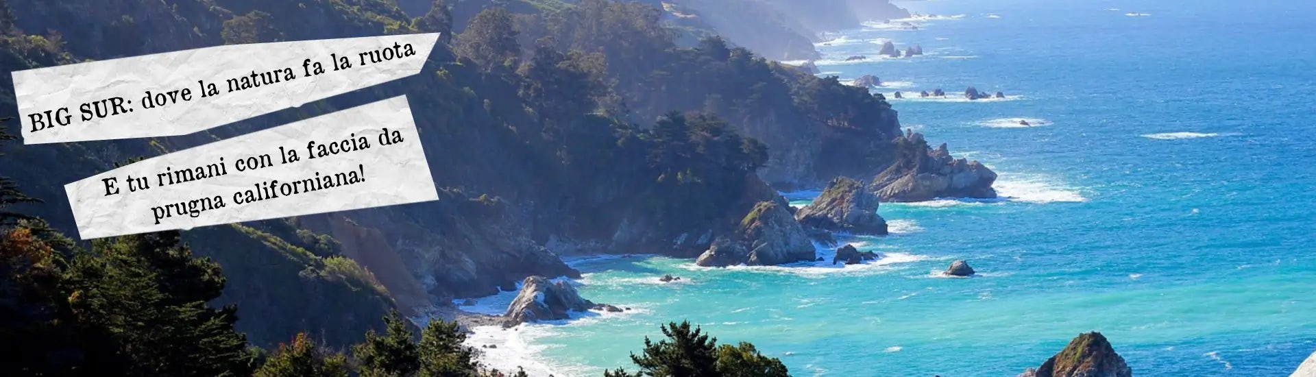 BIG SUR dove la natura fa la ruota e tu rimani con la faccia da prugna californiana larga
